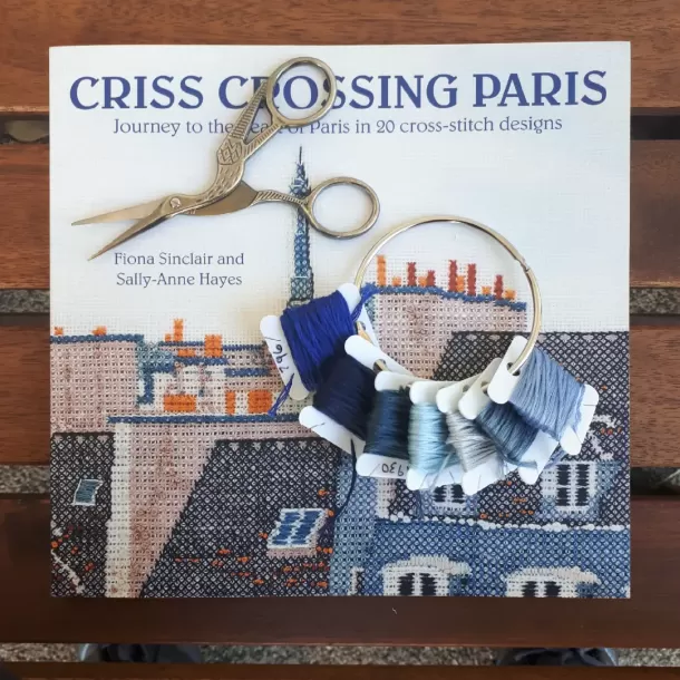 Criss Crossing Paris